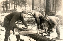 Zimní práce - těžba dřeva 1965 - další tým ve Voděradech, kam chodili pěšky z Horek