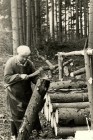 Zimní práce - těžba dřeva